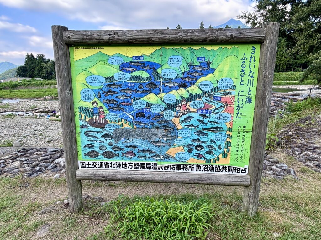 魚のマップ