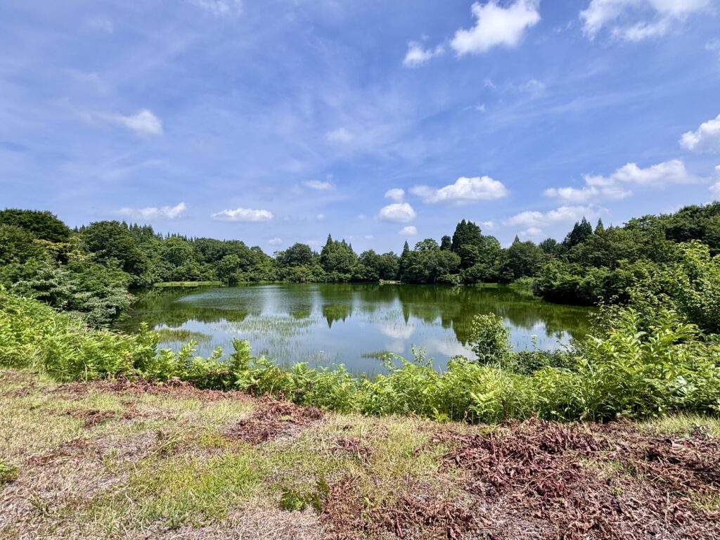 鼻毛の池