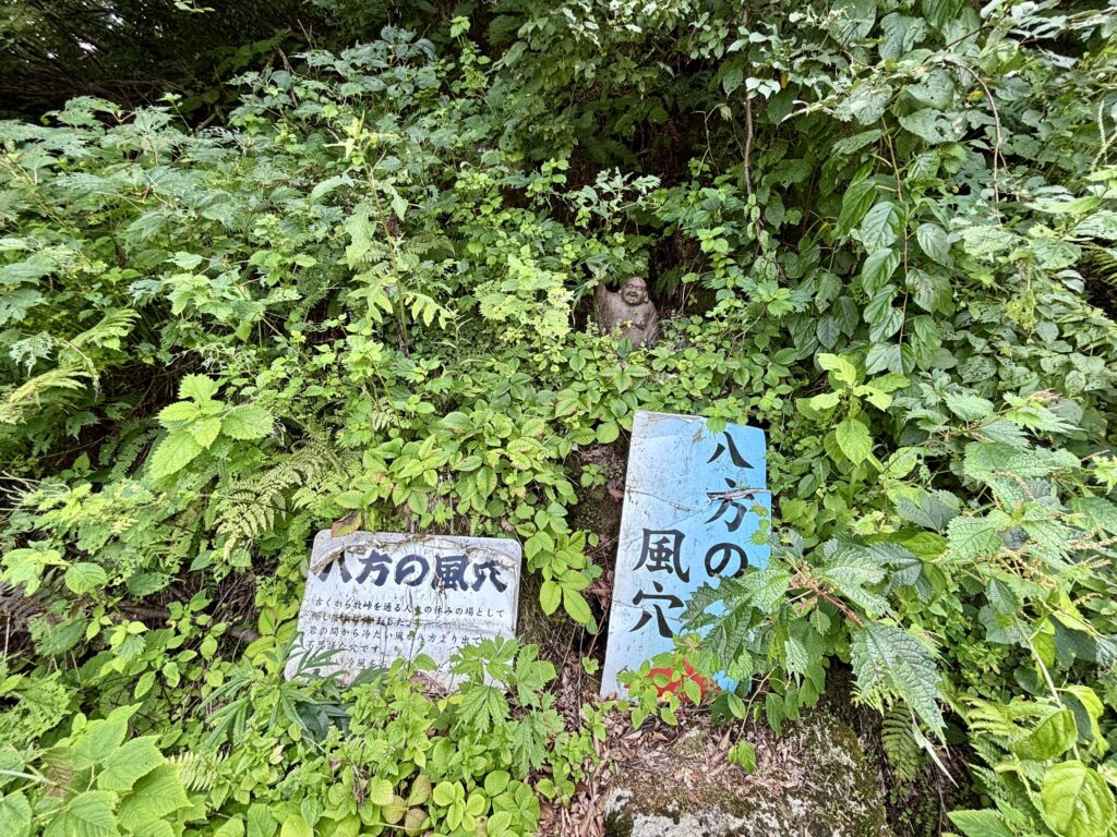 説明看板