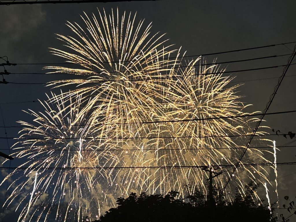 【長岡花火】日本三大花火の一つが今年も開催