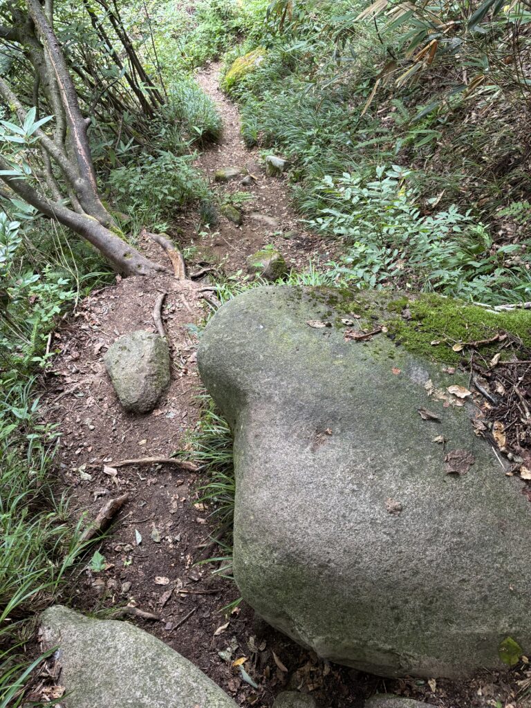 順路1