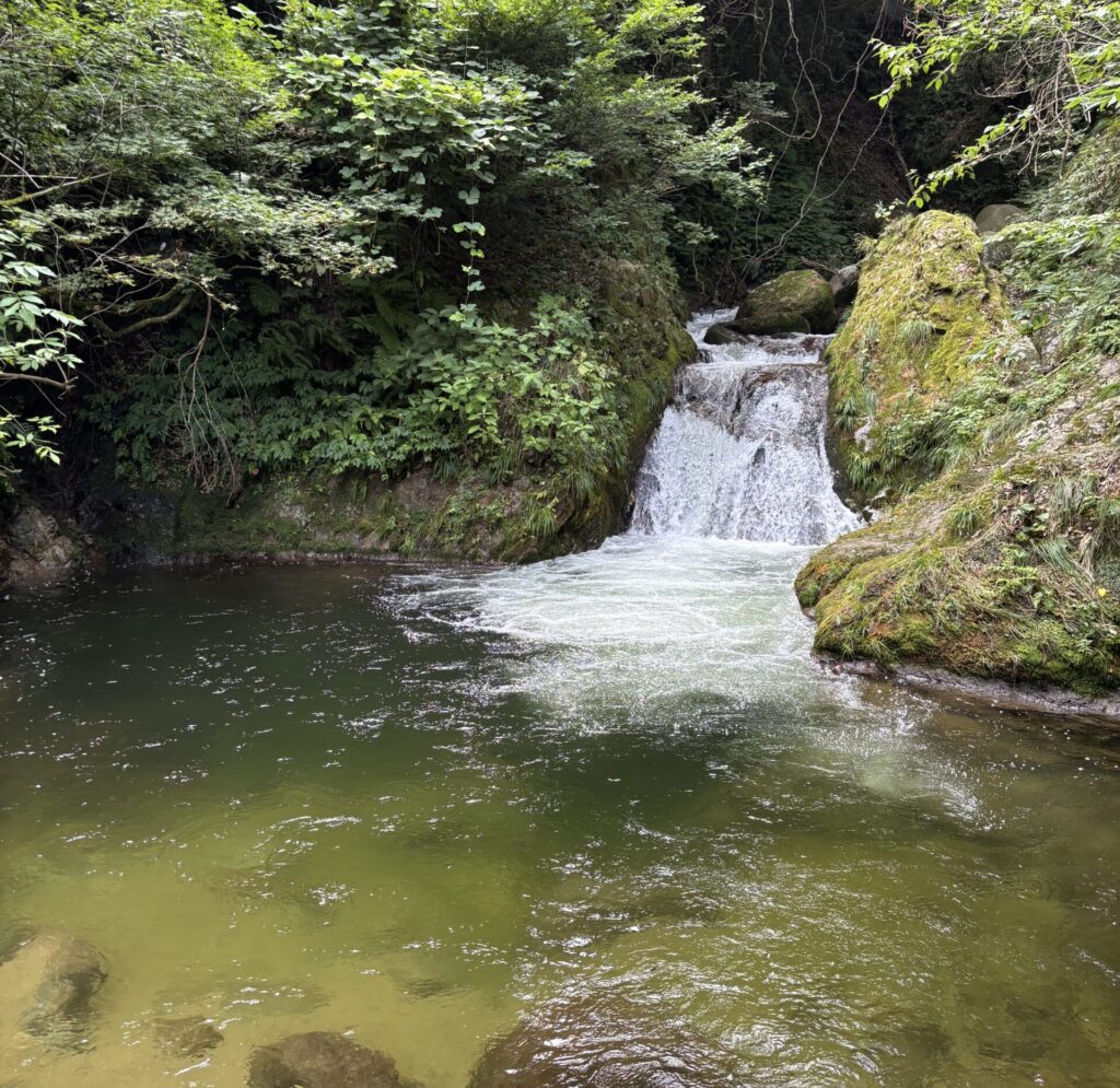 阿賀野市【魚止めの滝】ひんやりとした場所でマイナスイオンを感じて