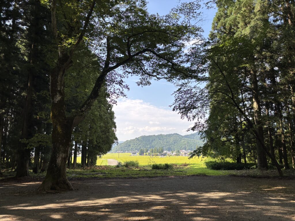田園風景2