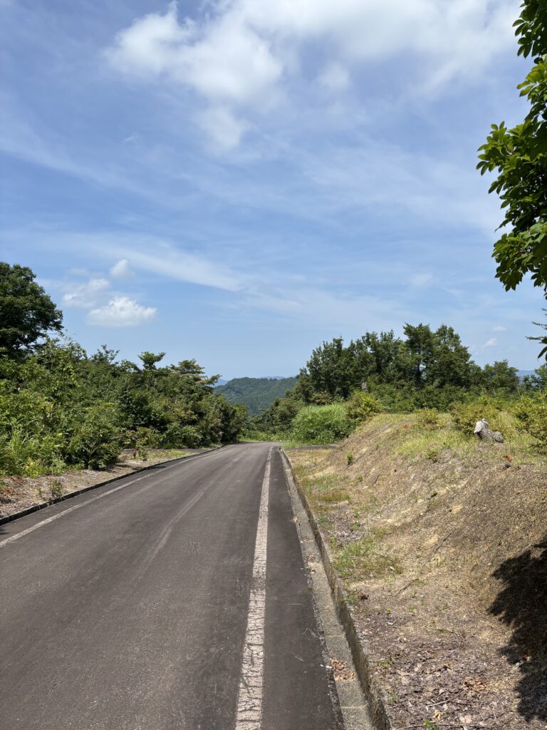周辺道路