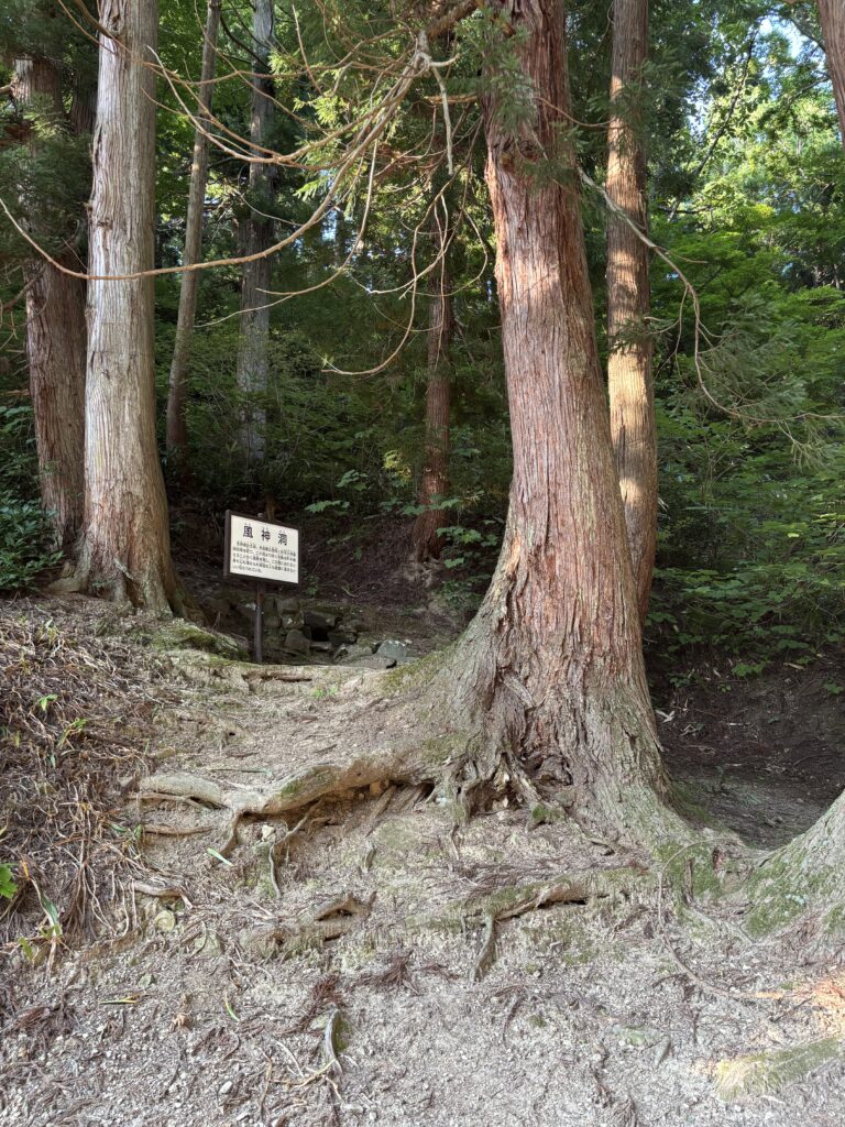 薬師堂裏