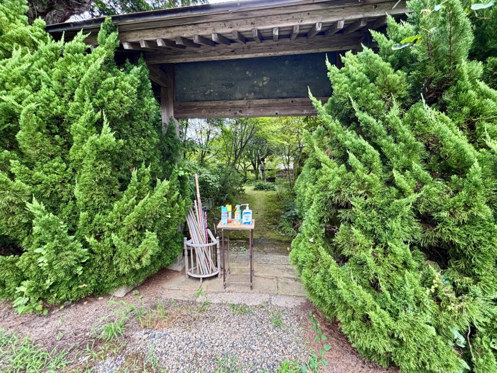 杖や虫除けスプレー