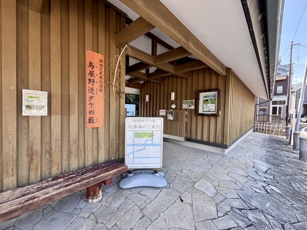 入口