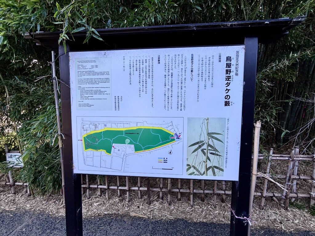 鳥屋野逆ダケの藪の説明看板