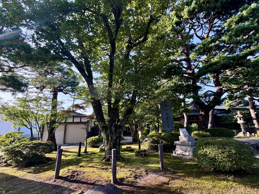 三度栗