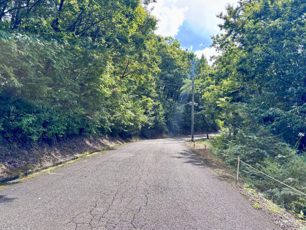 散策路