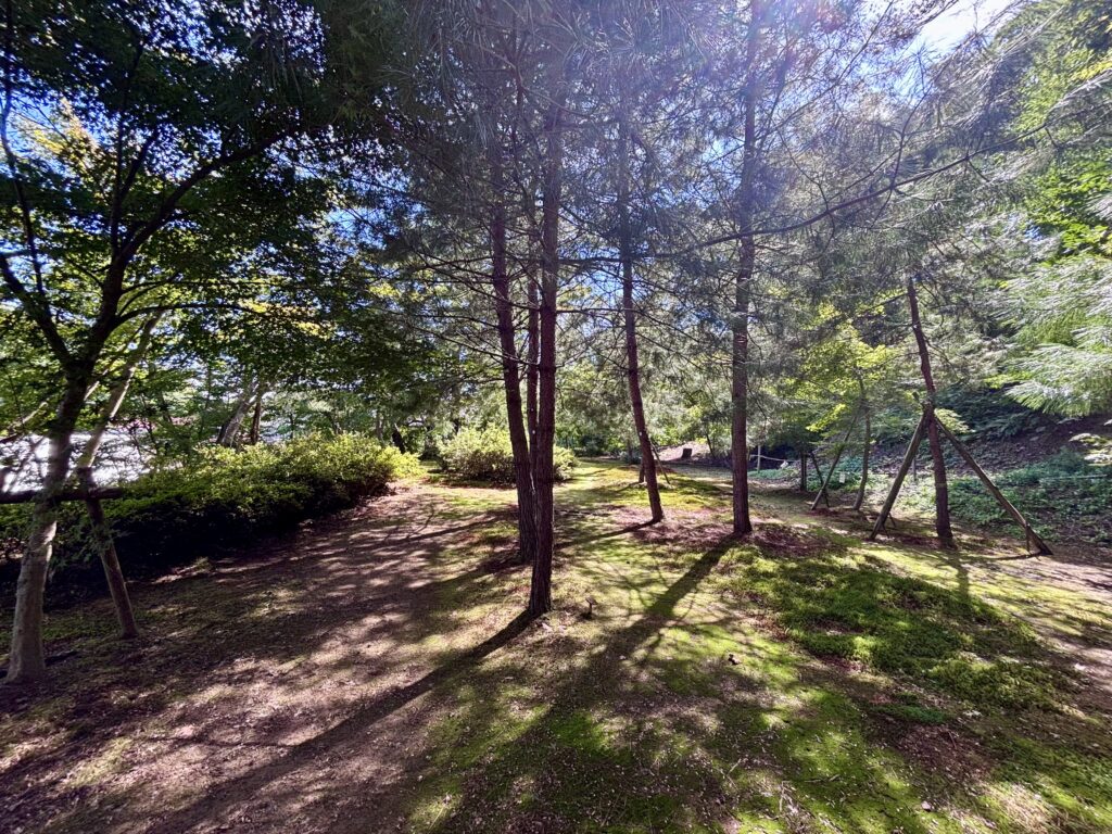庭園１