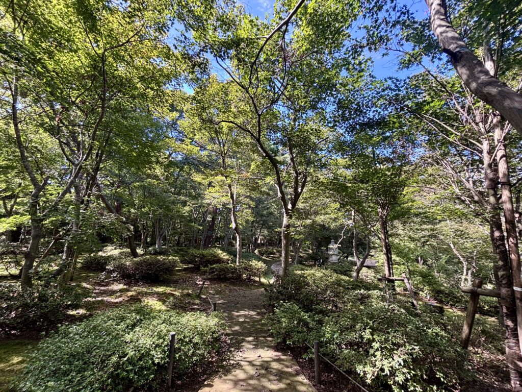 庭園２