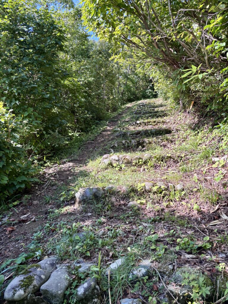 遊歩道２