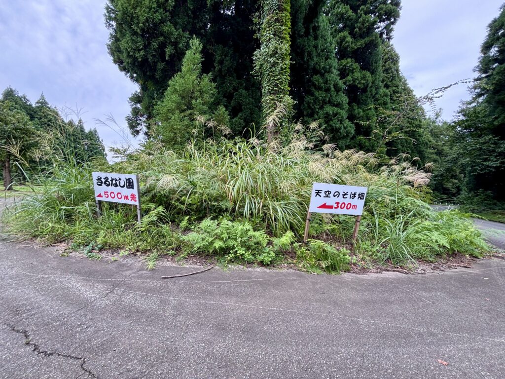 周辺の案内看板