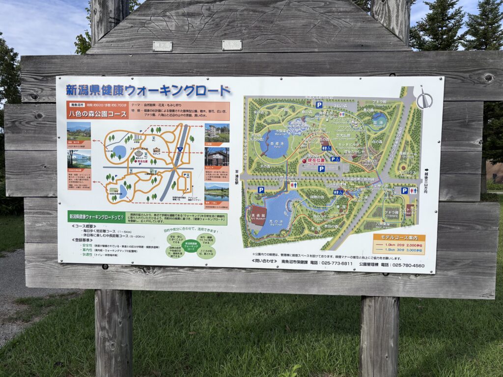 ウォーキングロードマップ