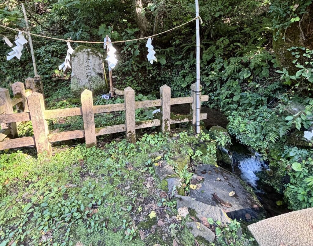 【大出口泉水】冷たくてとろとろとした水が湧き出る地