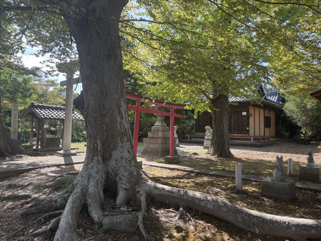 巨木２