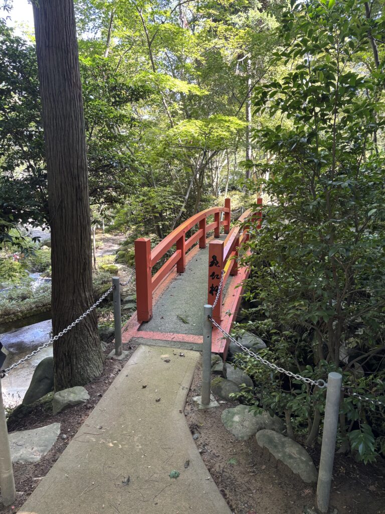 橋１