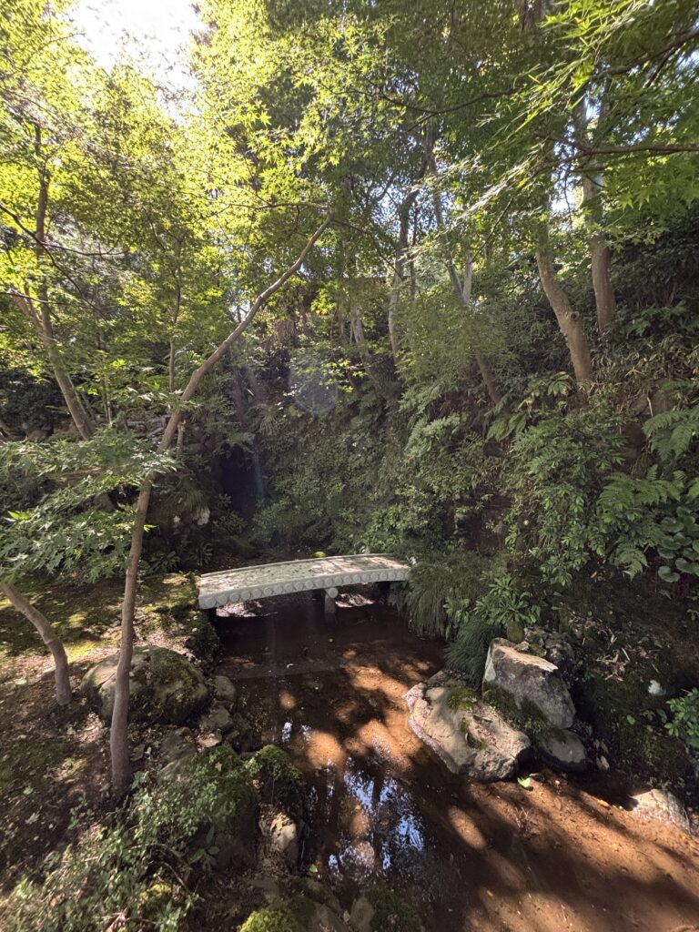 橋２