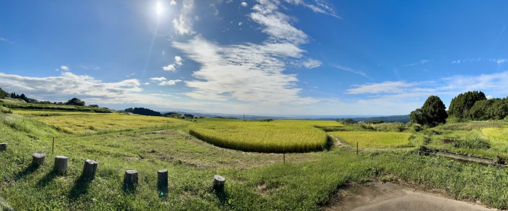 周辺の景色