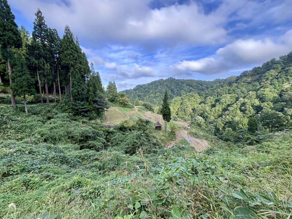 留守原の棚田
