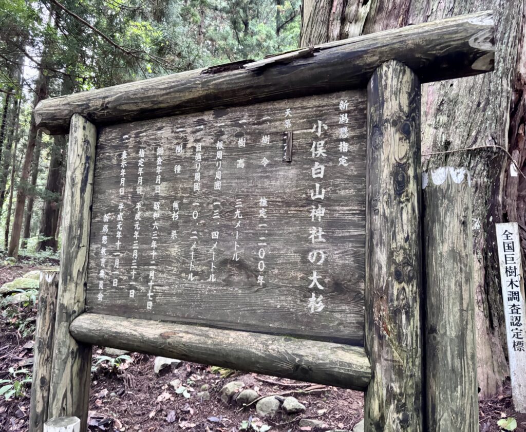 説明看板