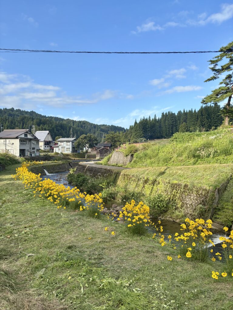 越道川沿い2