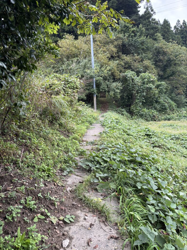 参拝路1