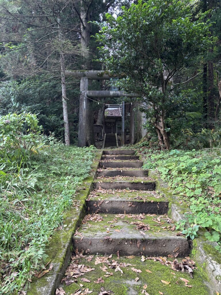 参拝路2