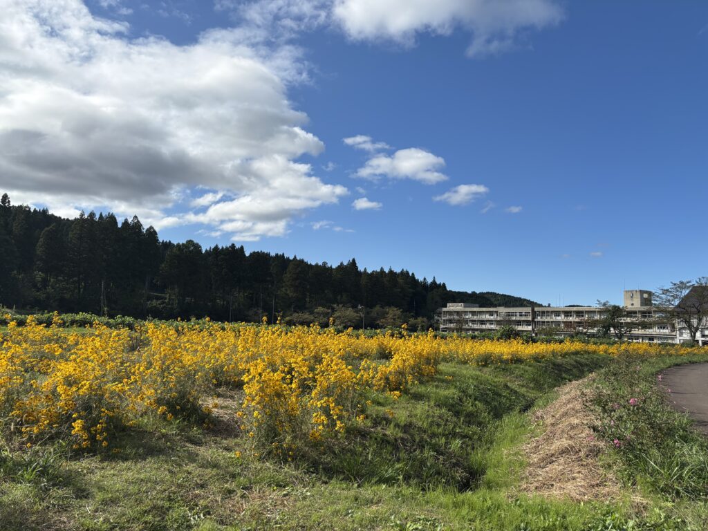 メイン会場の風景