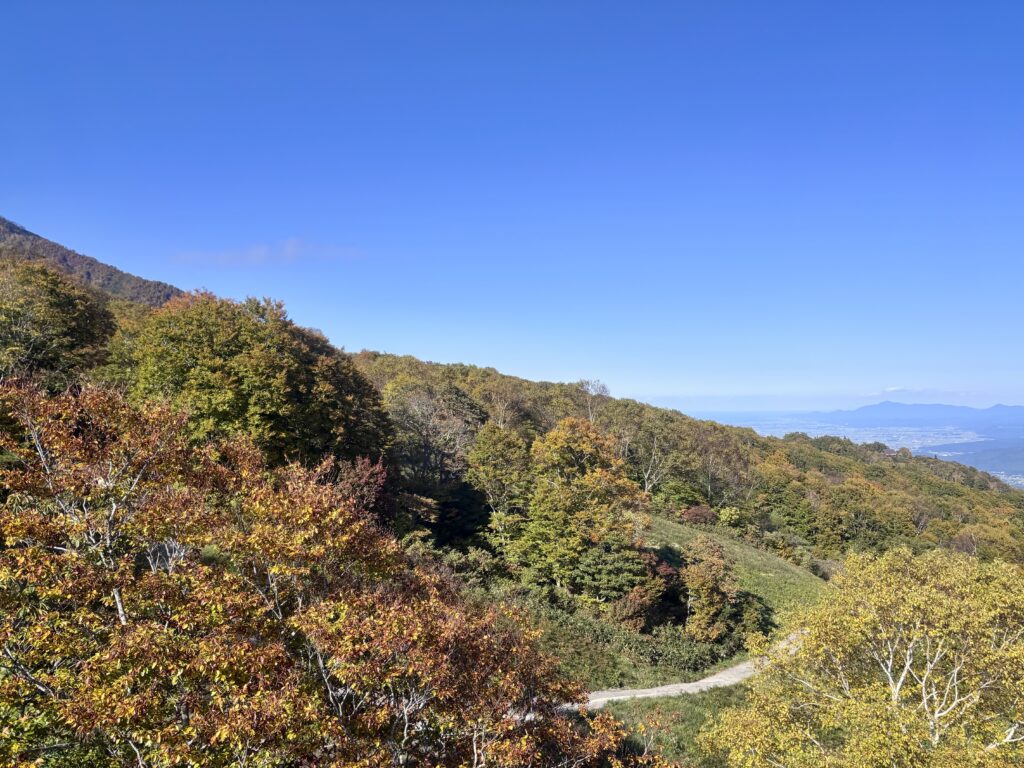 スカイケーブルからの景色３