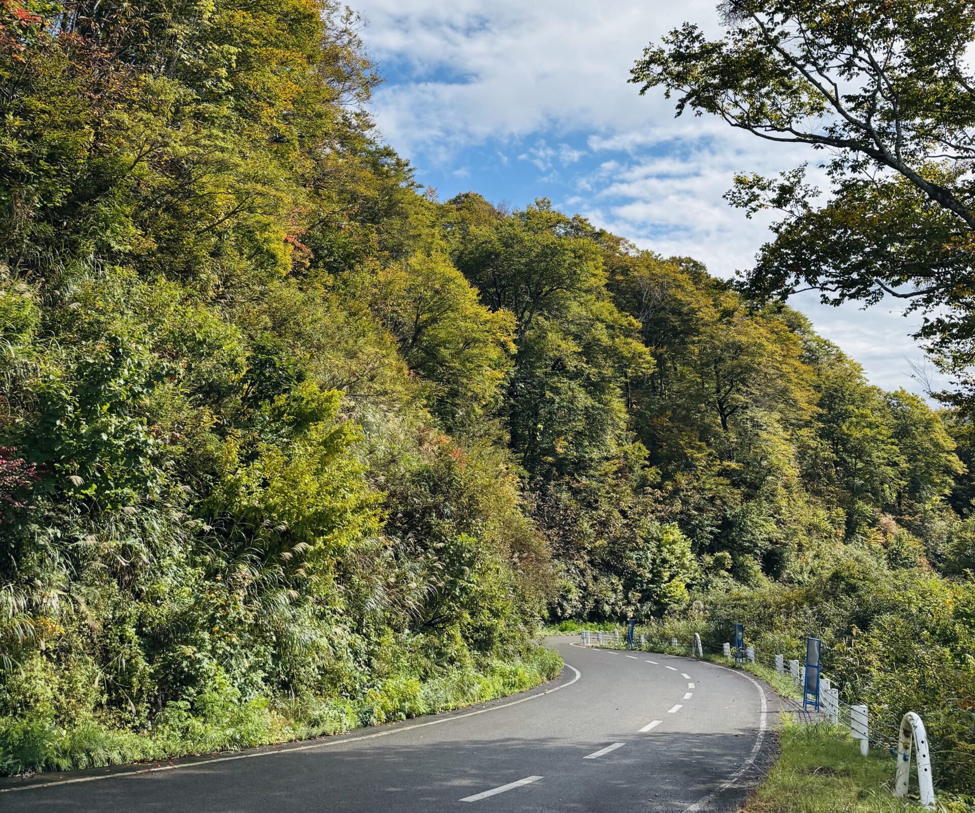 【枝折峠】約４ヶ月間だけの人気絶景スポット