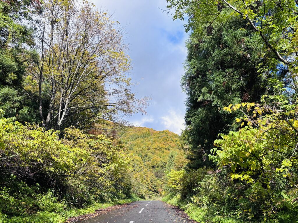 車道から見た景色