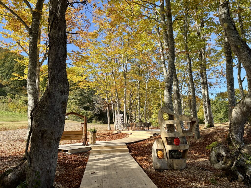 アートスクエア２