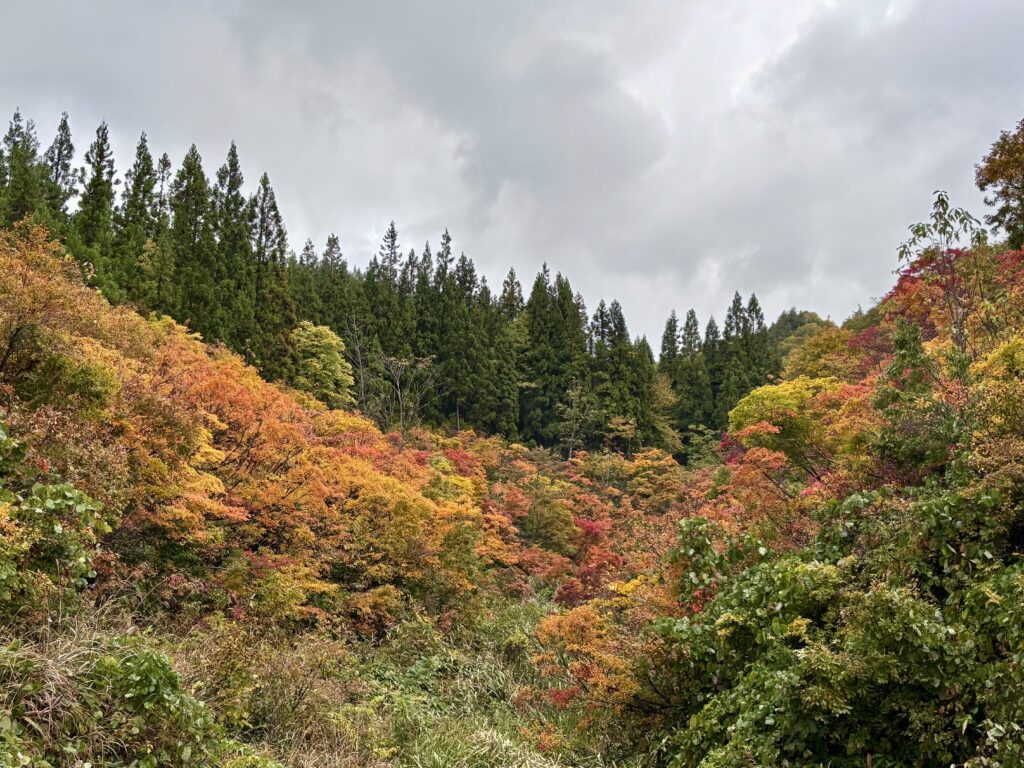 山形の紅葉