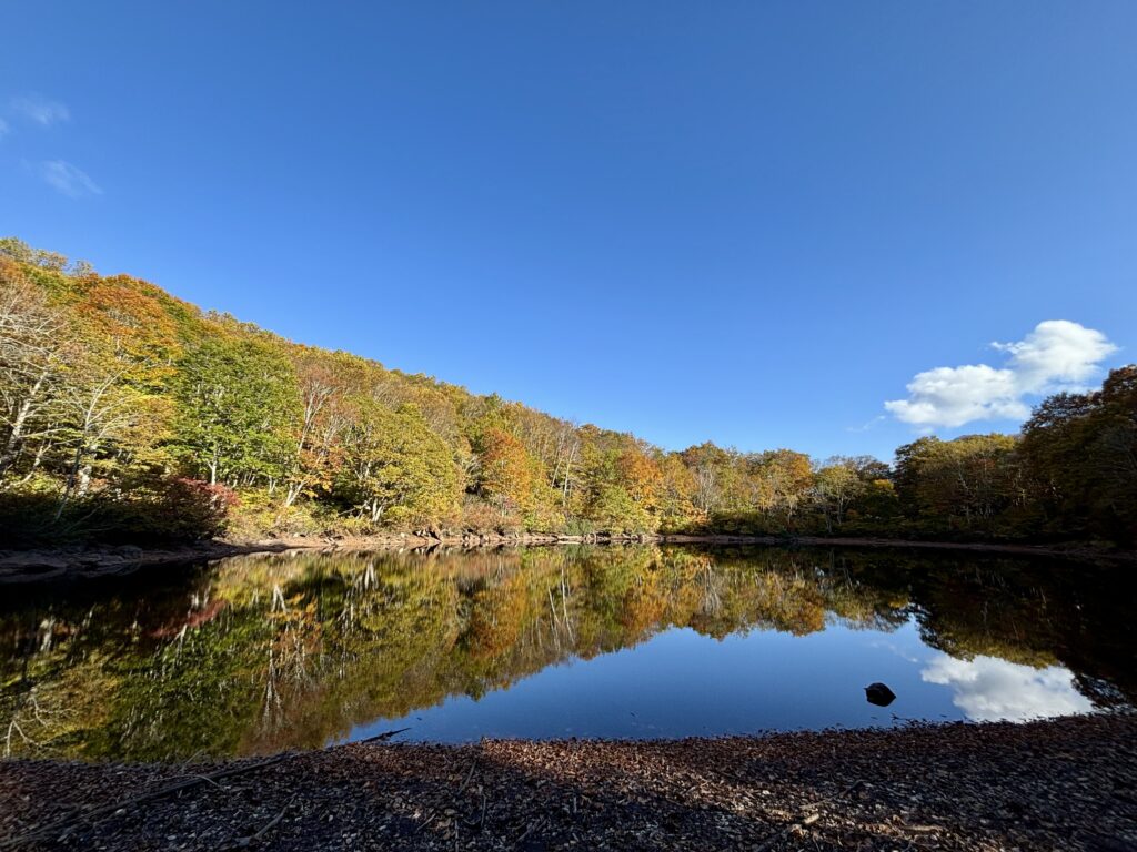 【仙人池】穴場の絶景スポット｜水面に映る紅葉