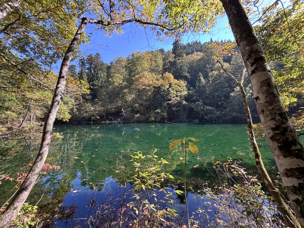 秋の龍ヶ窪の池