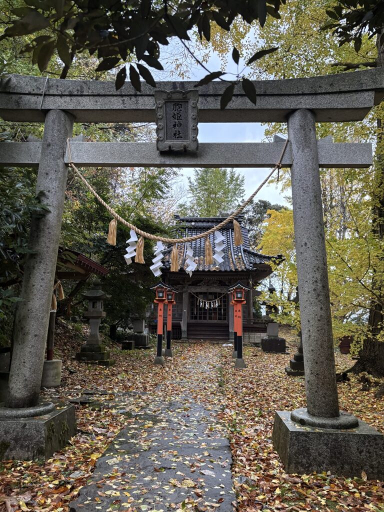 柏崎市【胞姫神社】安産や子授けにご利益がある神社