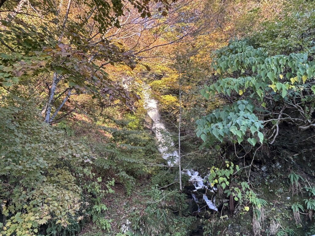 【夫婦滝】早出川ダム下流付近にある県道沿いの滝