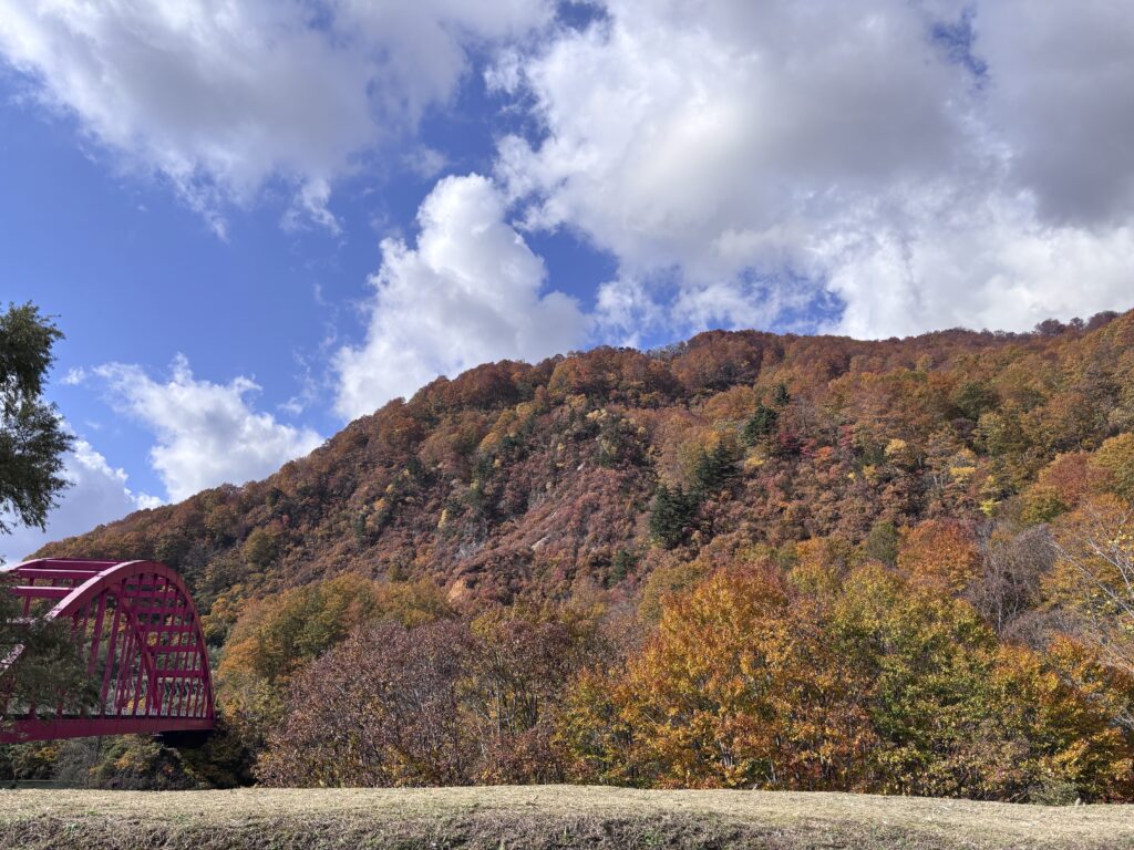 秋の破間川の景色１