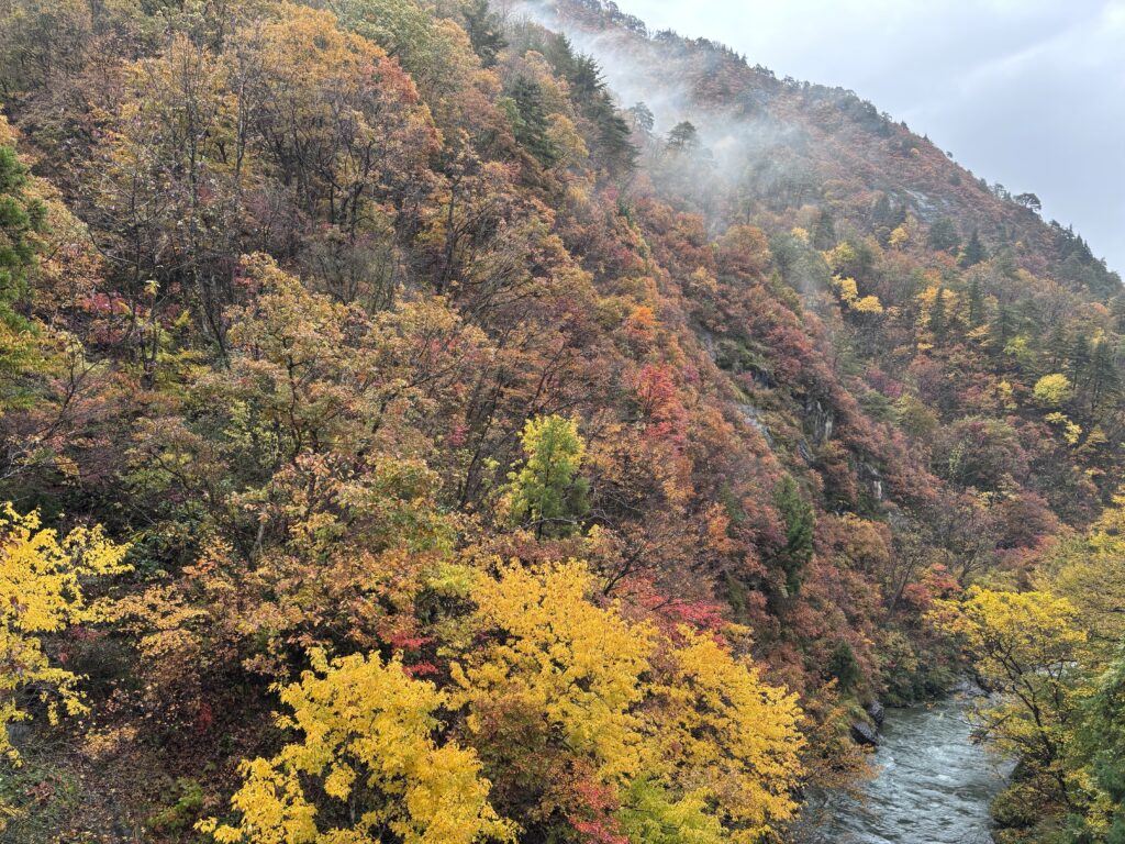 笠堀ダム周辺の紅葉