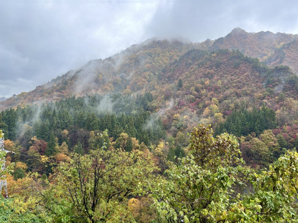 秋の笠堀ダム４