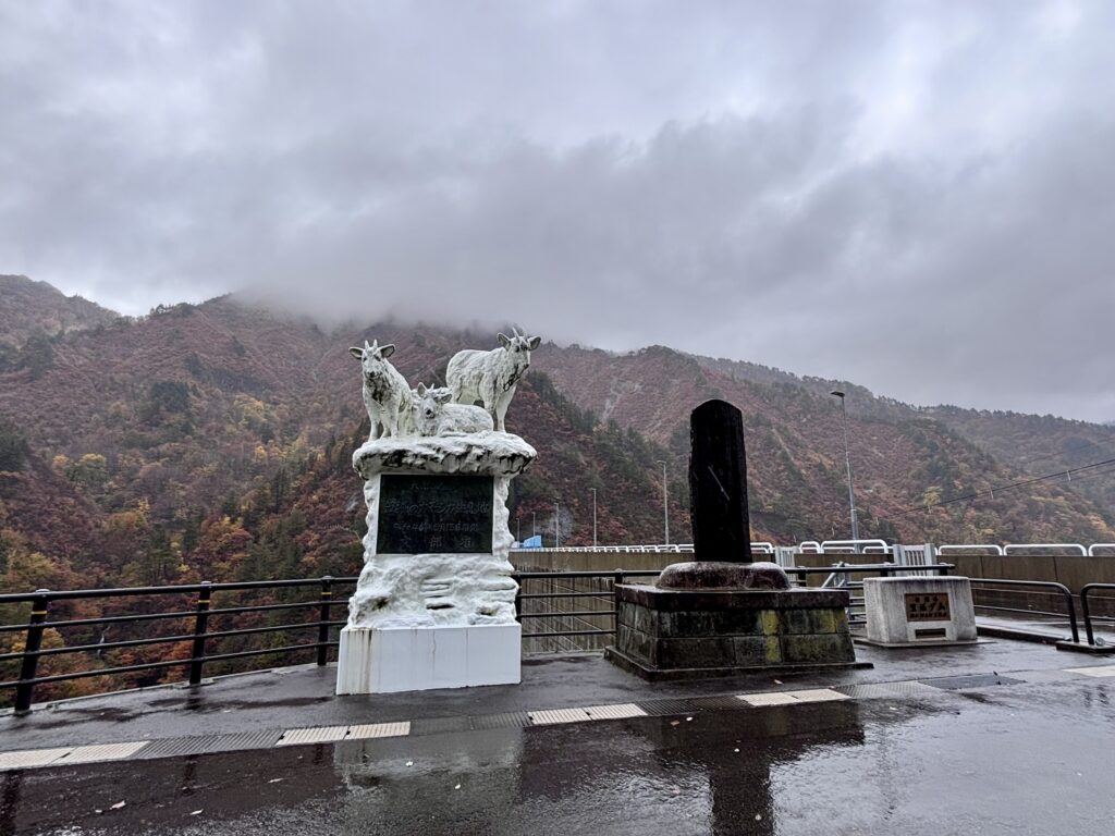 秋の笠堀ダム２