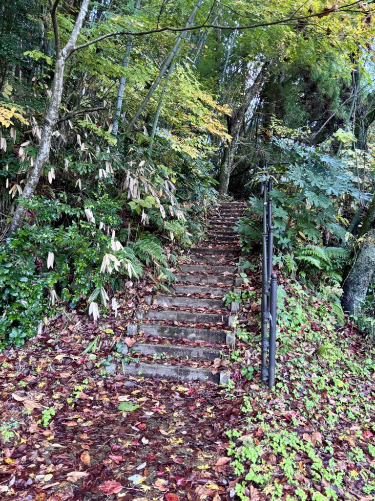 井伊神社への道