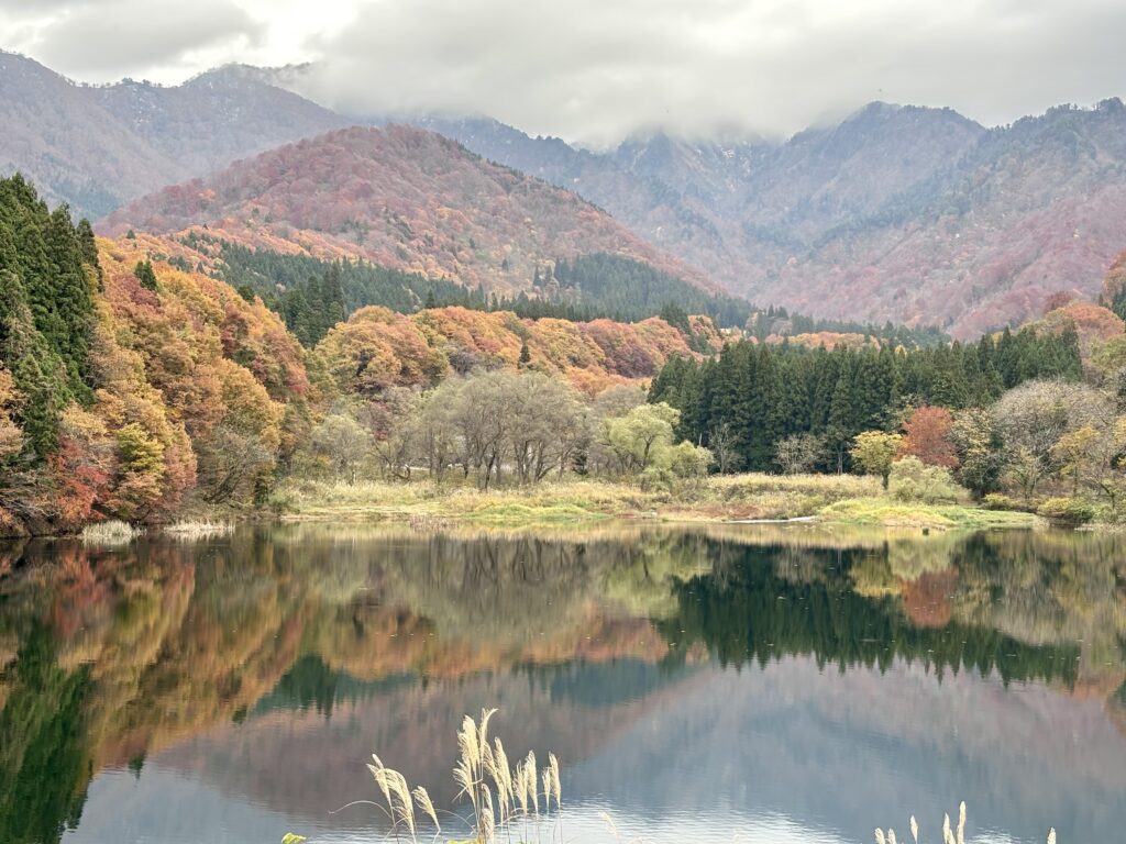 秋の大源太湖