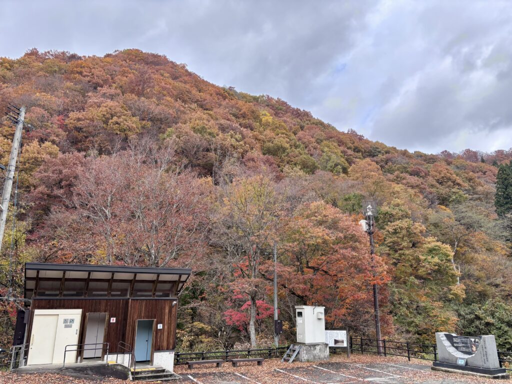 駐車場周辺の景色