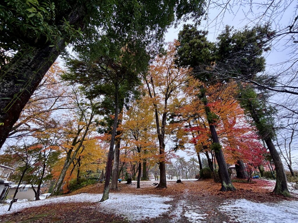 小千谷市【船岡公園】春は桜、夏はホタル、秋は紅葉