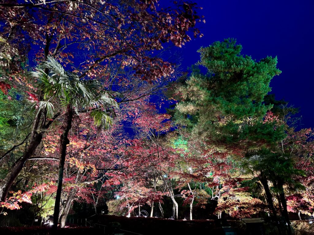 ライトアップ２