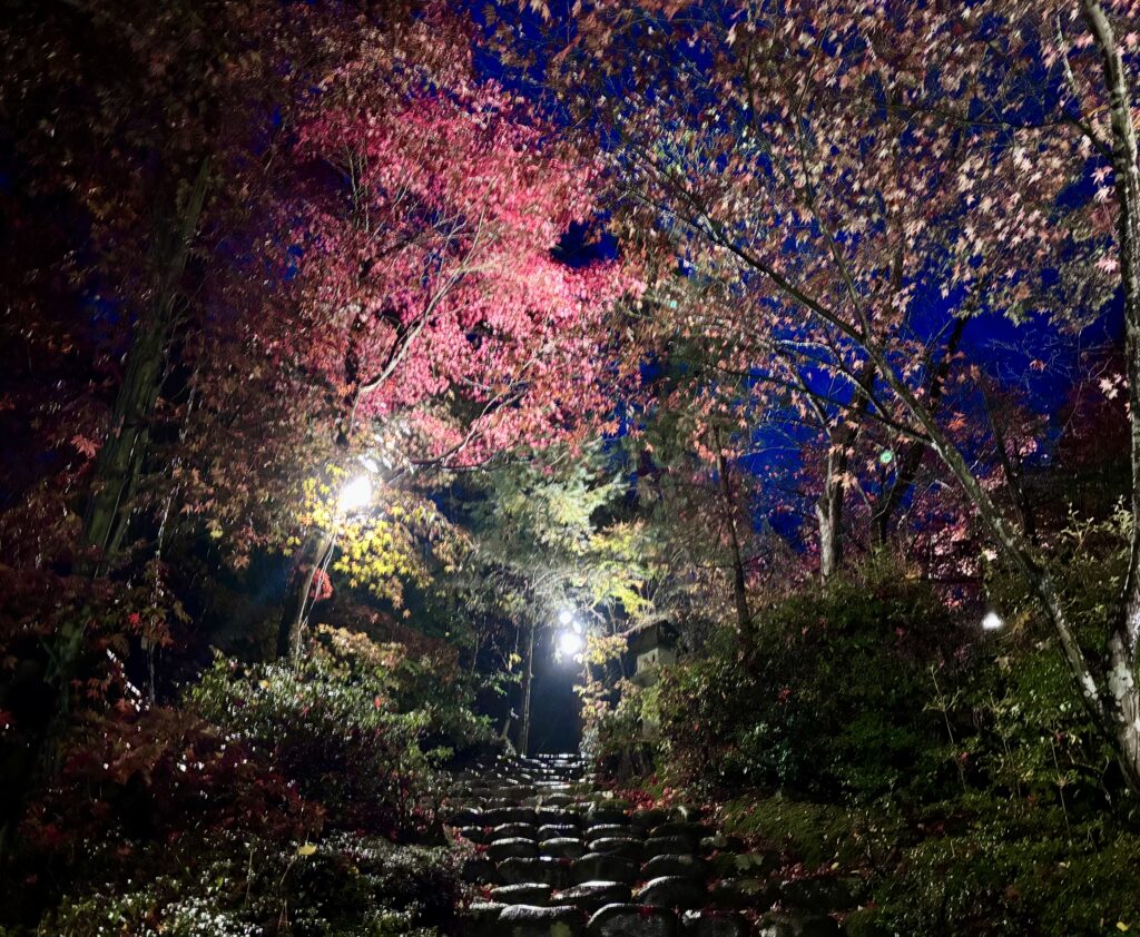 ライトアップ１