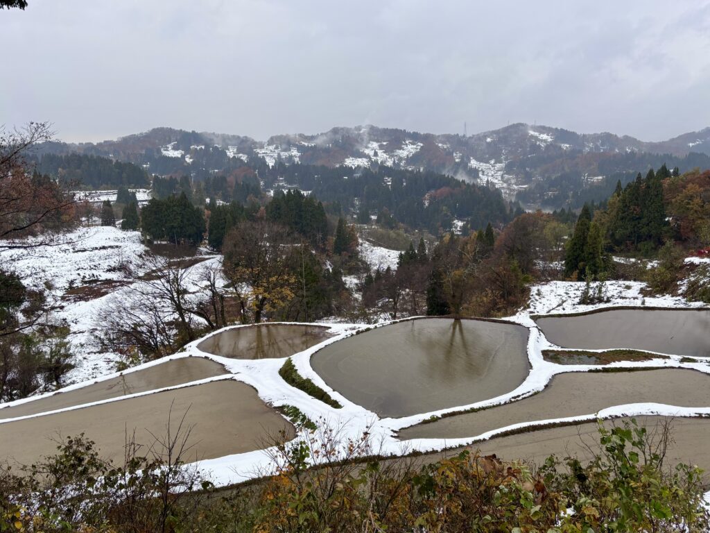 冬の儀明の棚田